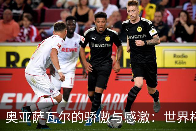 奥亚萨瓦尔的骄傲与感激：世界杯背后的故事